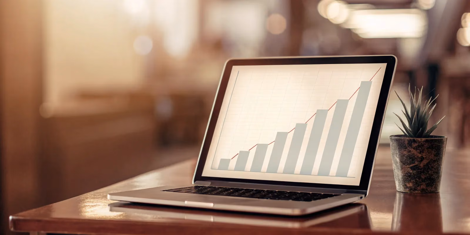 Affordable SEO Agency: What Should You Pay?