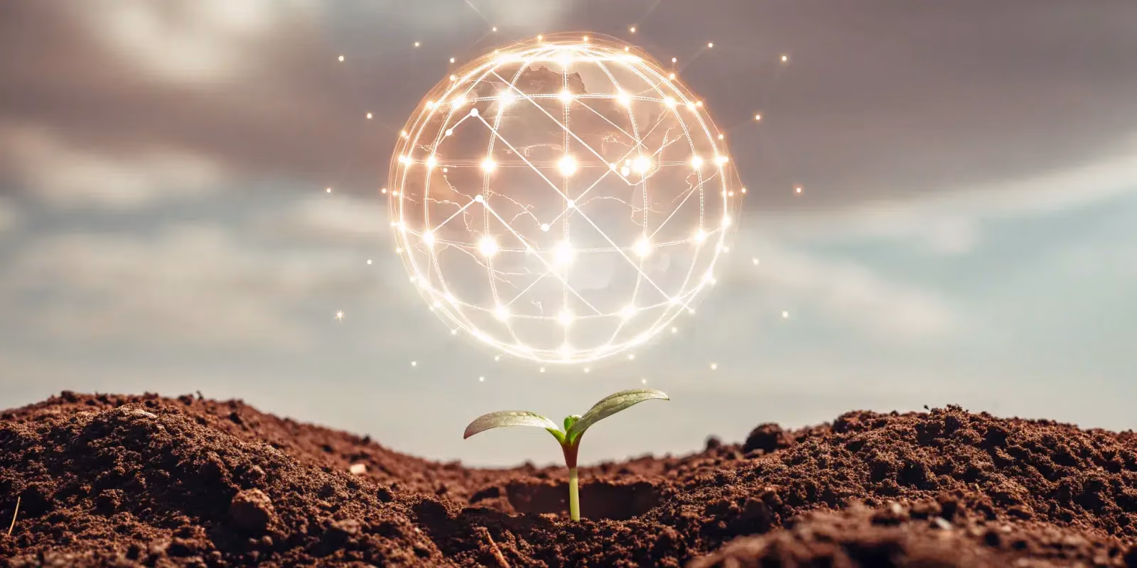 Google's AI Trust Score: Your Guide to SEO