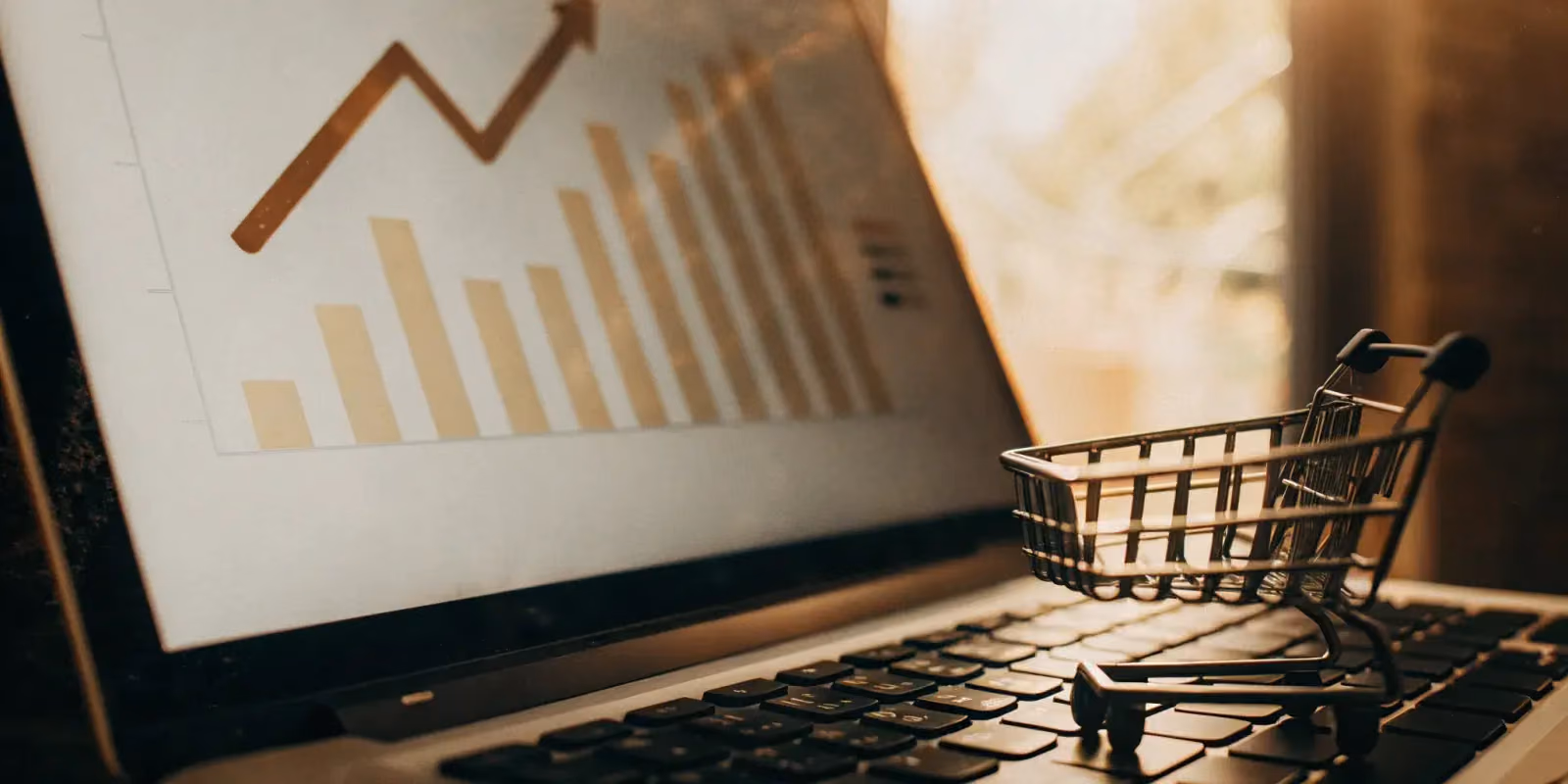 Amazon SEO: How We Boosted Sales by 600%