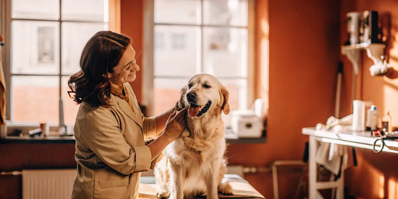 Veterinary Content: The Ultimate Guide for Vets