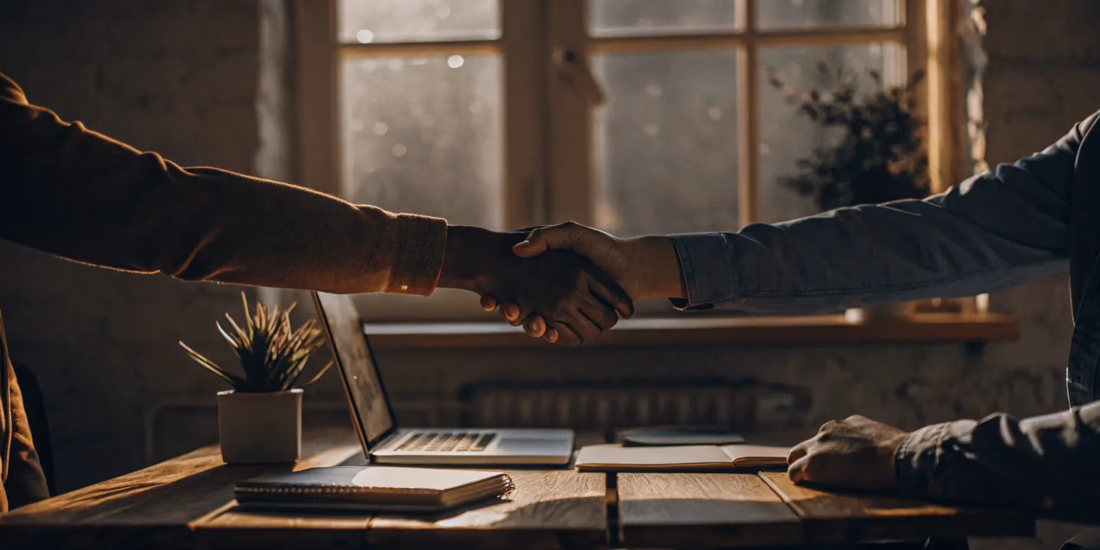 Creator Partnership: A Guide for Small Businesses