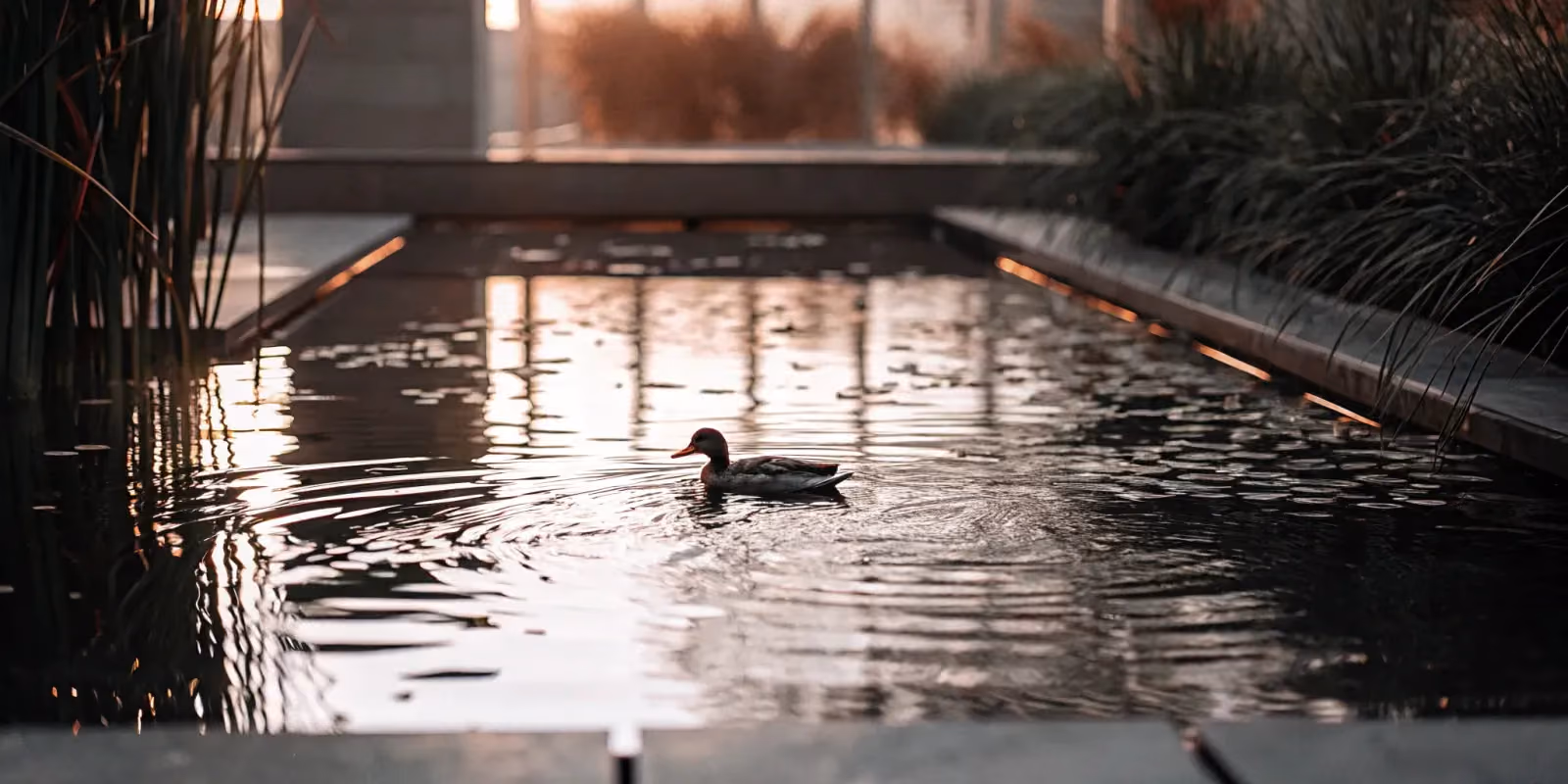 DuckDuckGo SEO: A Comprehensive Guide