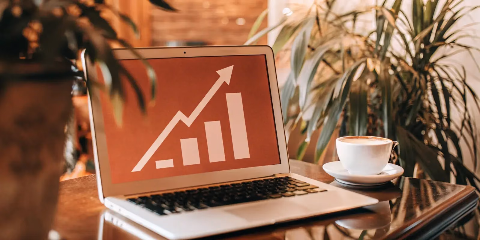 Monetize Your SEO: Strategies for a Post-HCU World