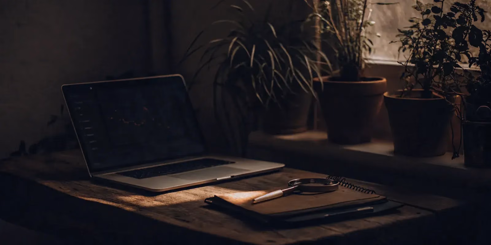 No-Budget SEO: A Comprehensive Guide to Organic Growth