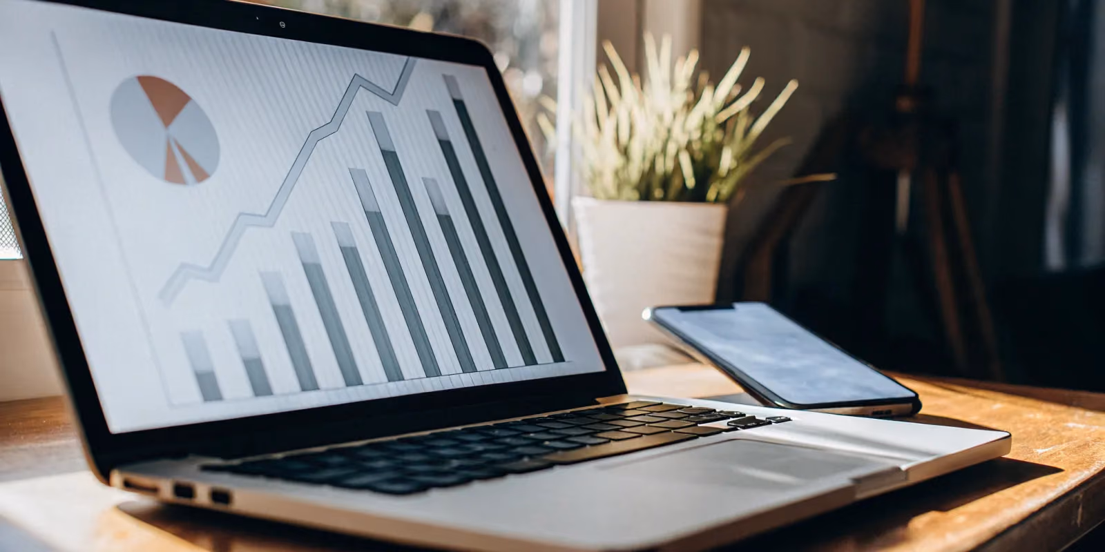 Which SEO and Marketing Tools Do You Really Need?