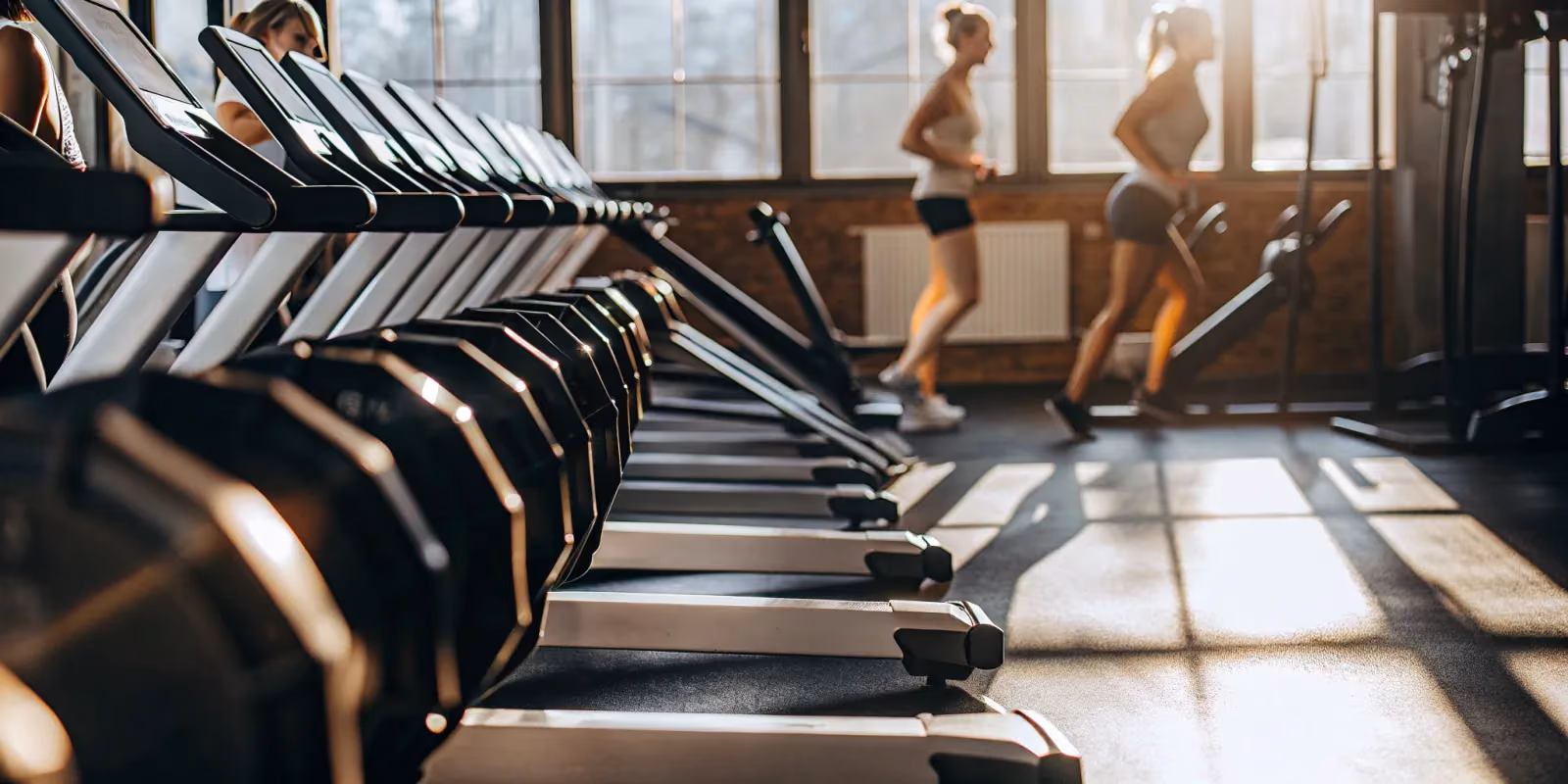 SEO for Gyms and Fitness Studios: An Action Plan