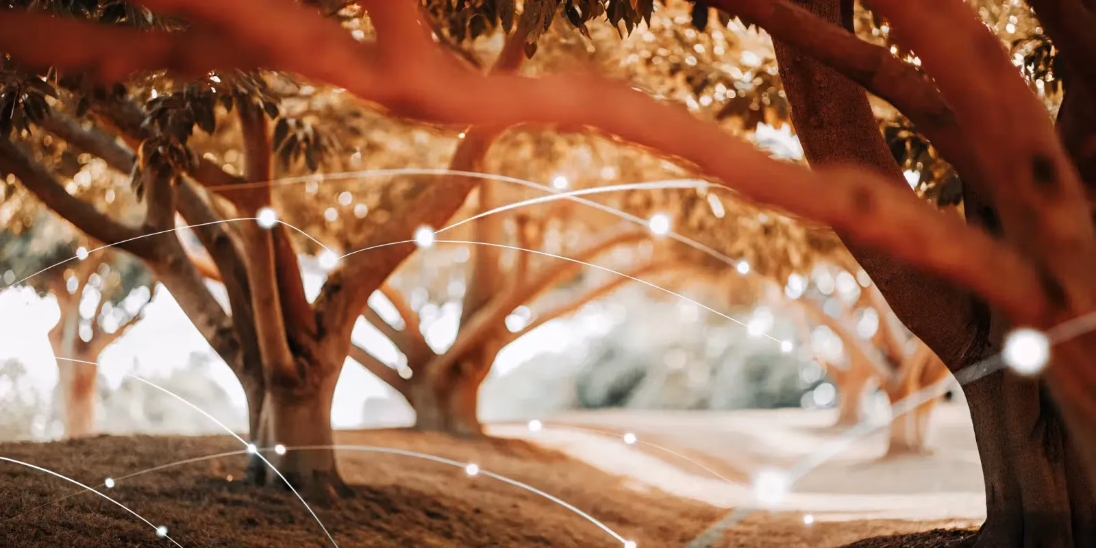 The Ultimate Guide to Link Building for SEO