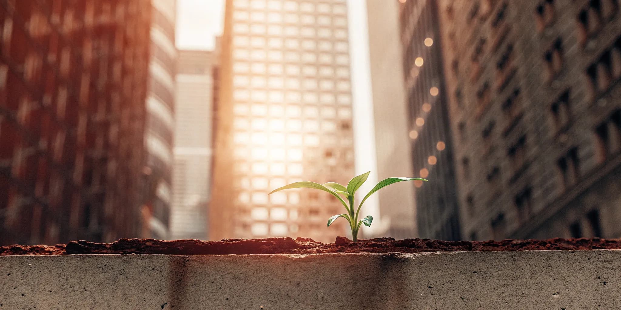 Reinvestment: Fuel Your Wealth Growth (Not Diversify)