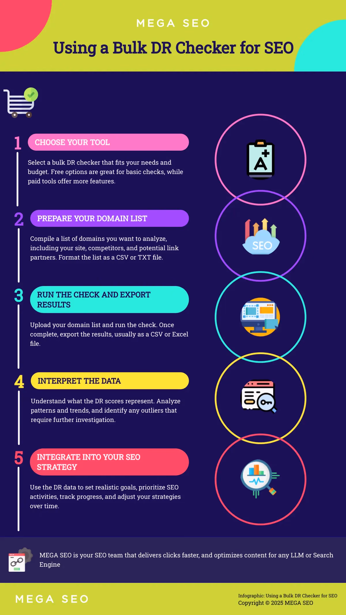 Using a Bulk DR Checker for SEO Infographic on using a bulk DR checker for SEO